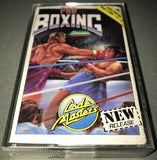 Pro Boxing Simulator